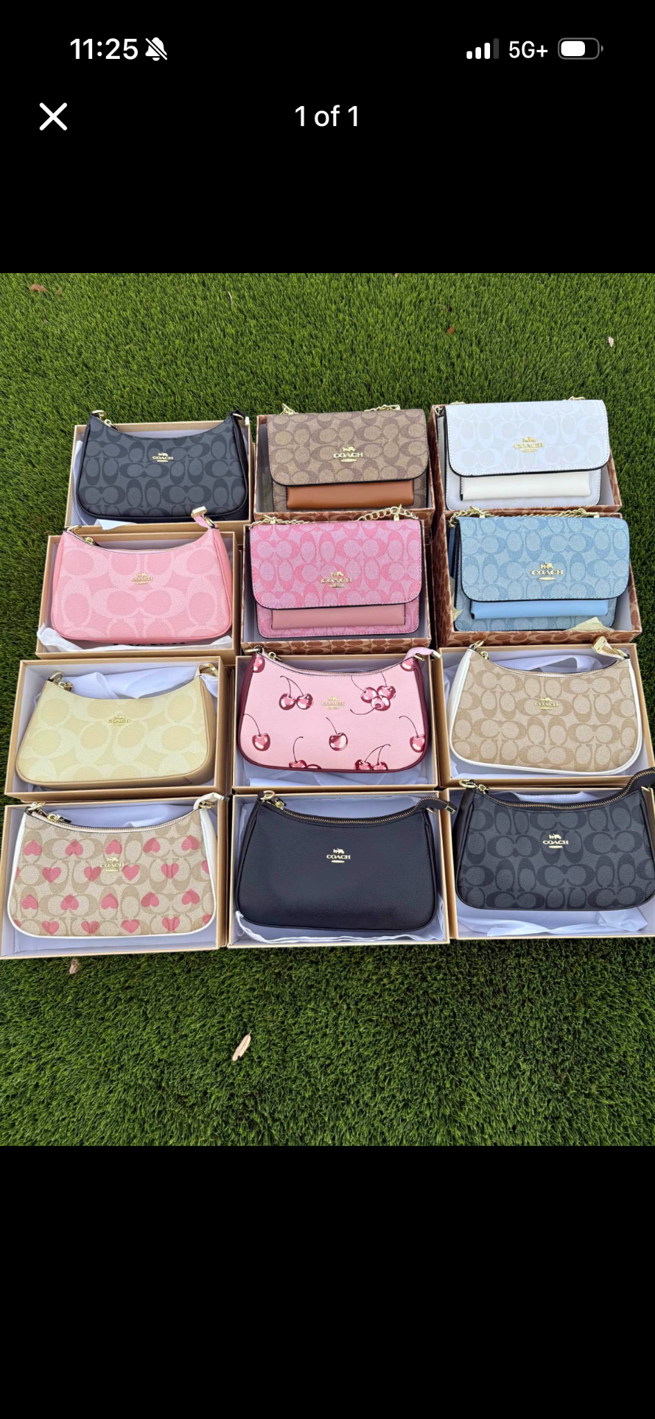Designer Bag Haul